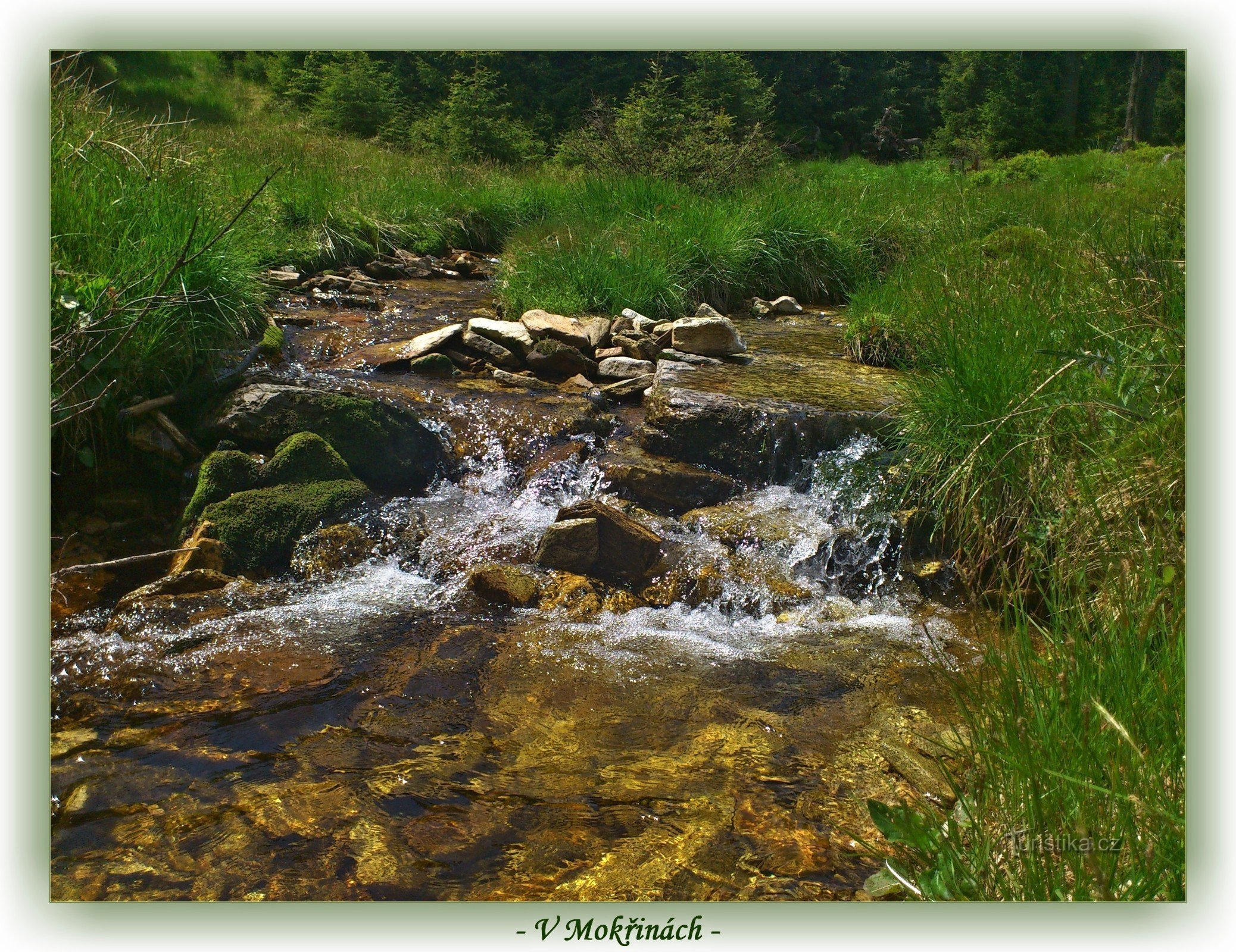 Wetlands