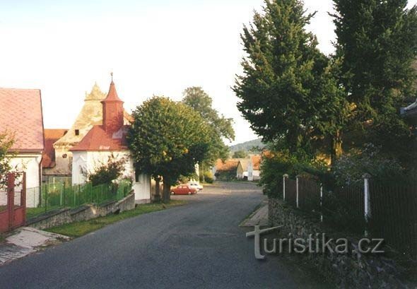 Vizesek