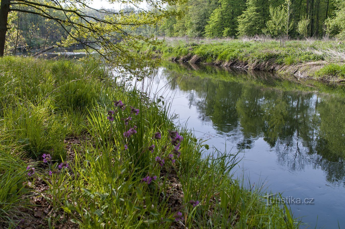 Moravië in het midden