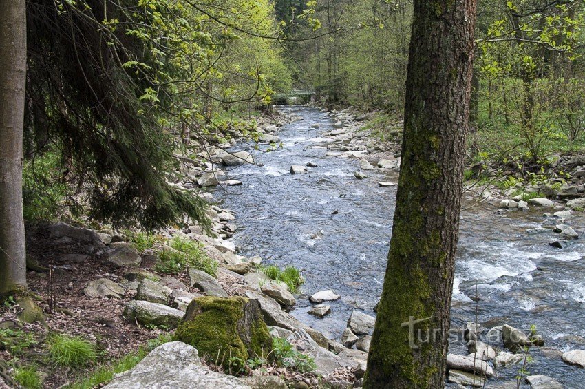 Mähren unter dem Kilometerzähler