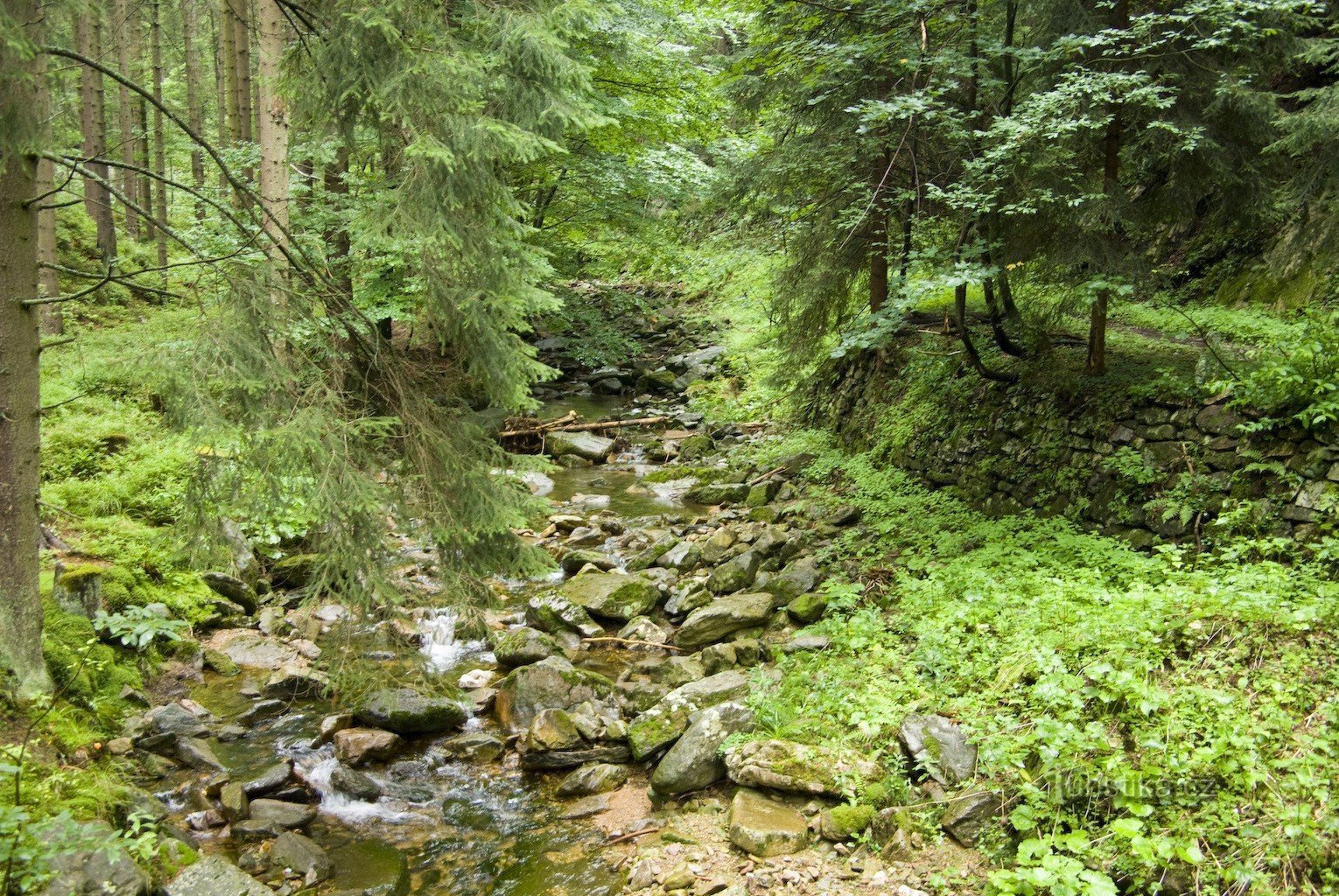 Morava under Strašidelný potok