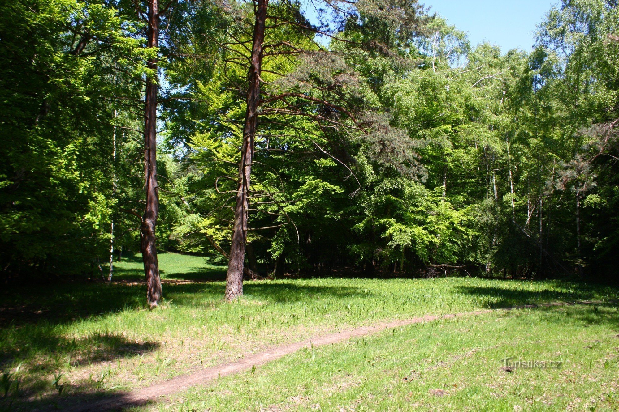 Prairies moraves