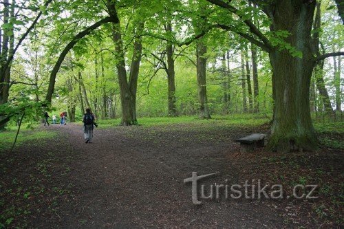 Moravec - zámecký park