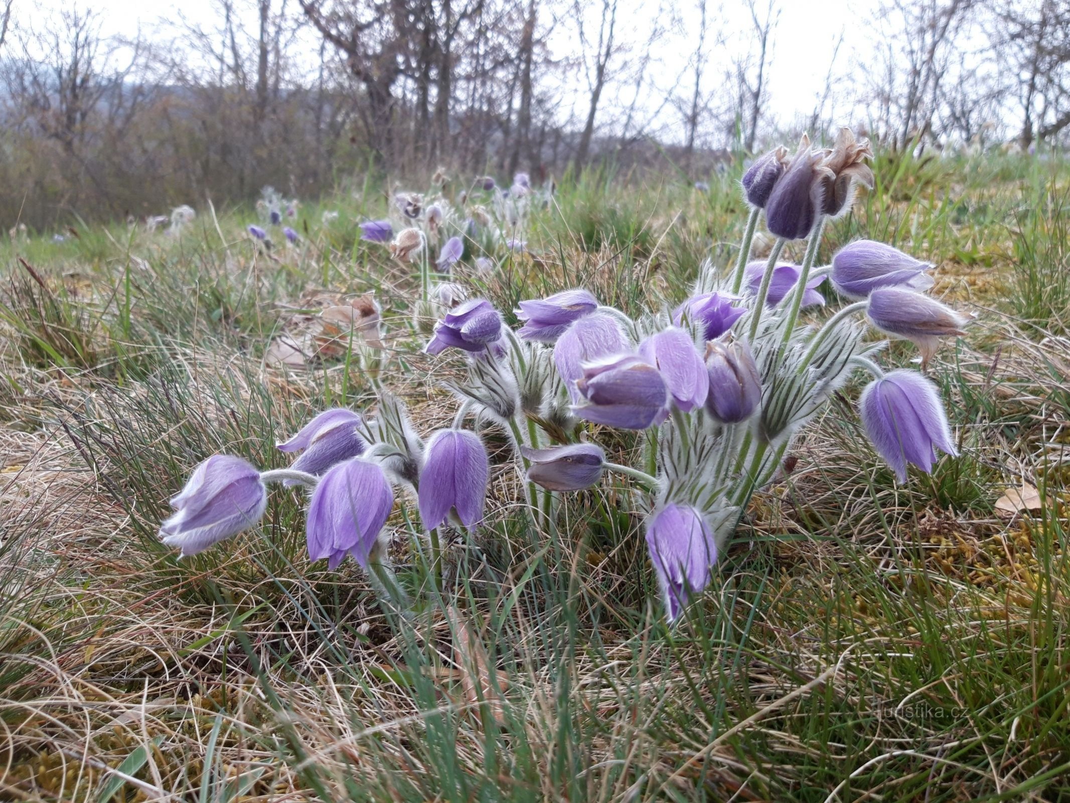 Moravské Bránice - Žebětín (St. Annes tårn og klokketårn)