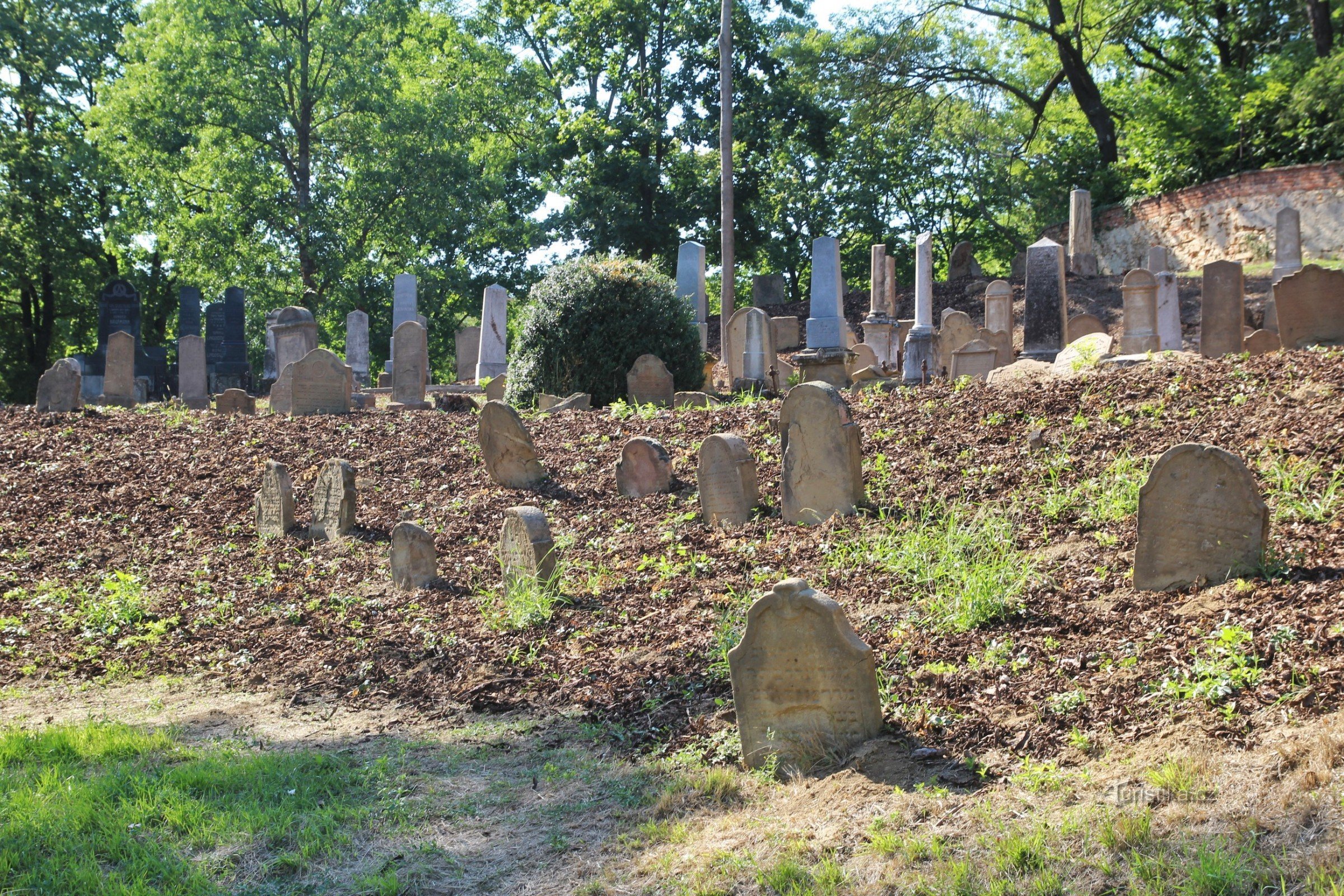 Moravský Krumlov - judisk kyrkogård