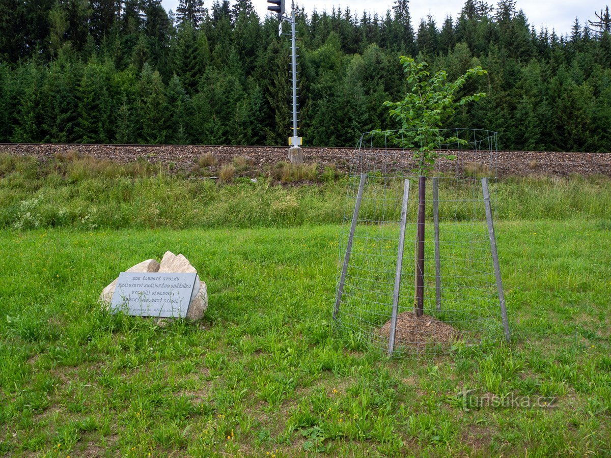 Stablo moravske zemlje