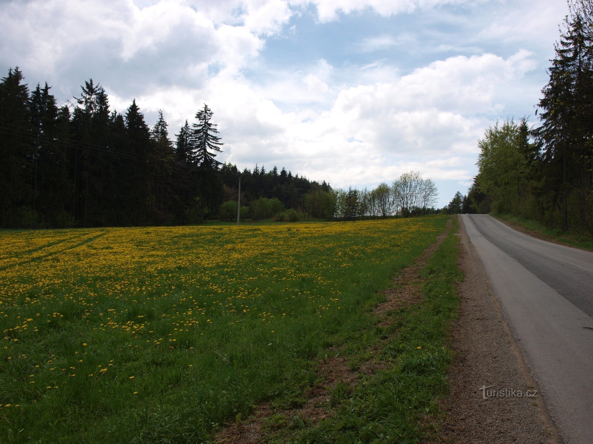 Mährische Schönheit auf dem Fahrrad