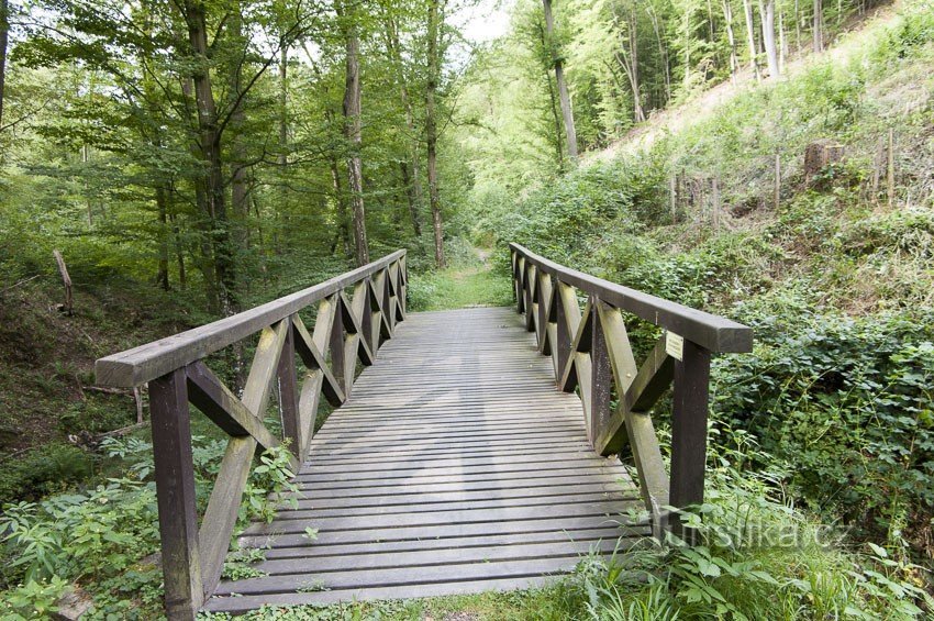 Countess Mniszková Bridge