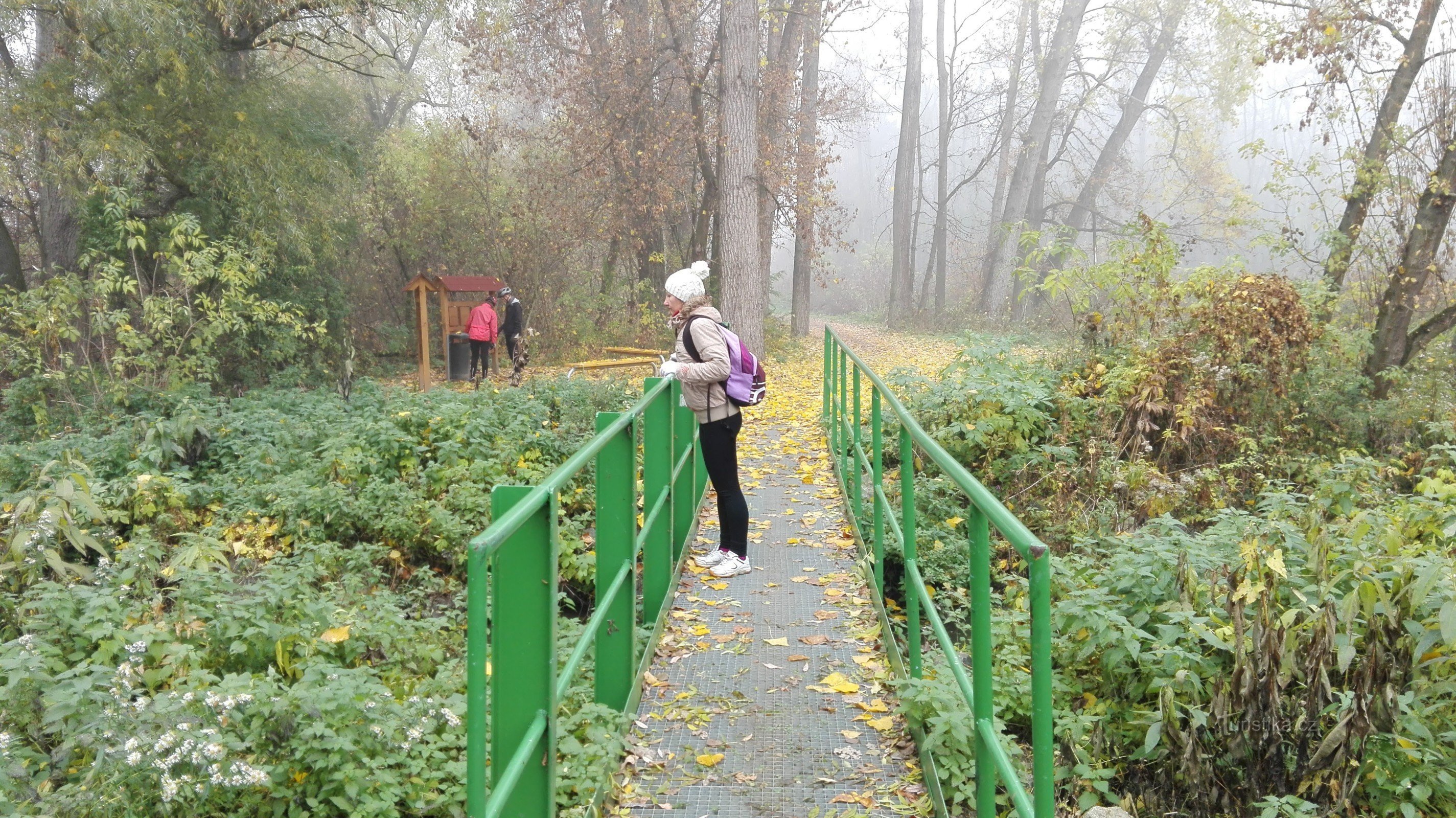 Brücke auf dem Radweg