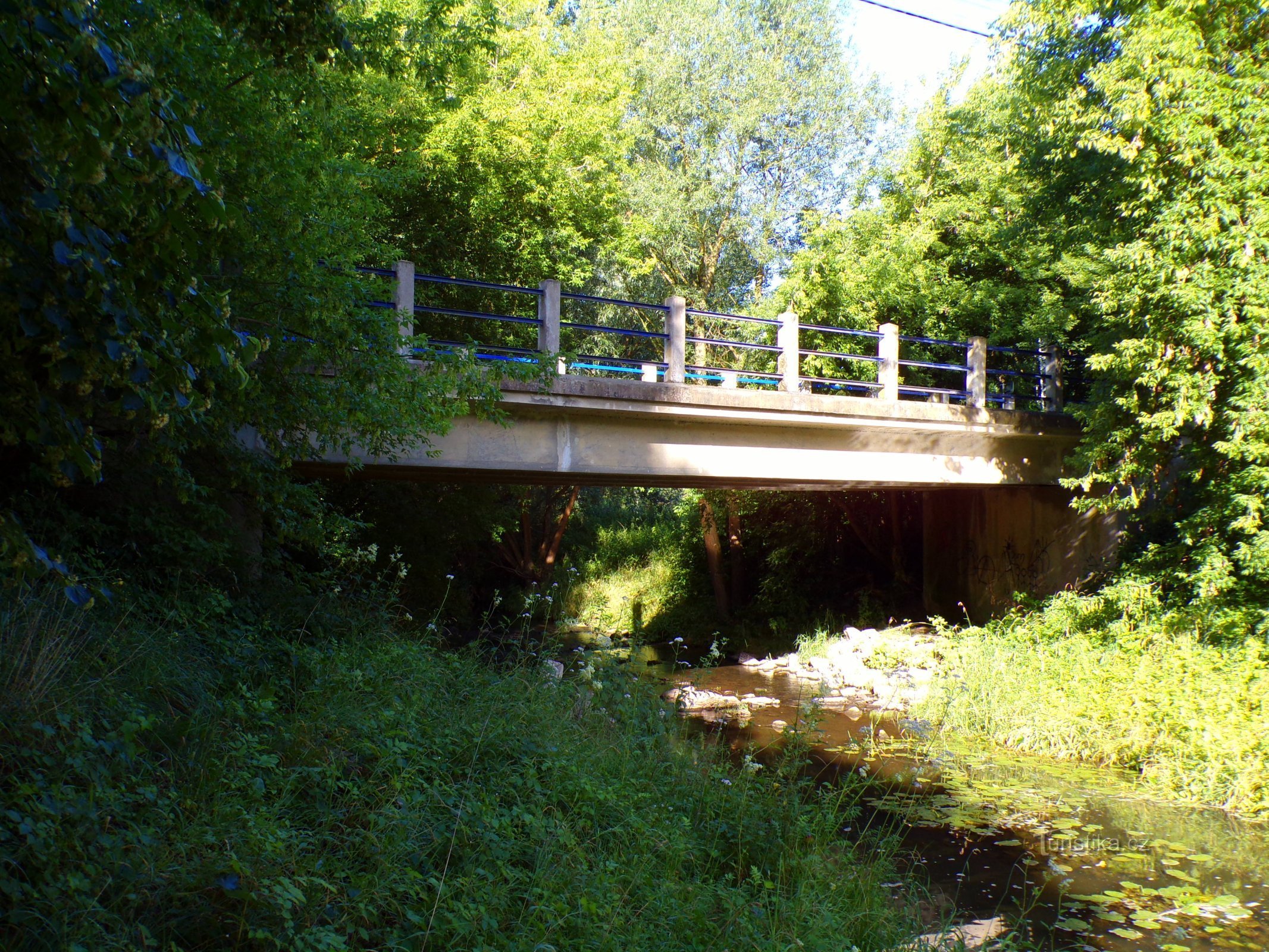 Brug over Dědina van Mitrov naar Polánek nad Dědinou (10.7.2022/XNUMX/XNUMX)