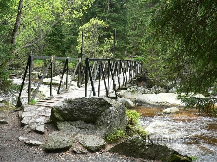 El puente hacia Srní