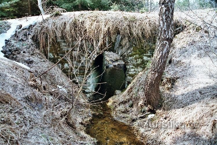 Bro i skogen bakom Čabová