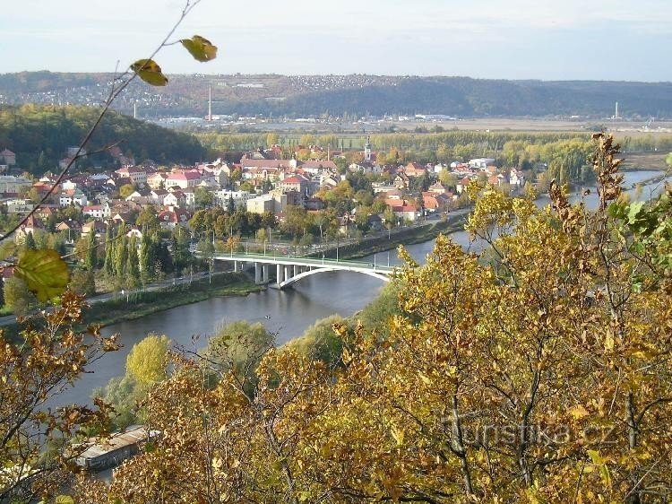 Fredsväxtbron