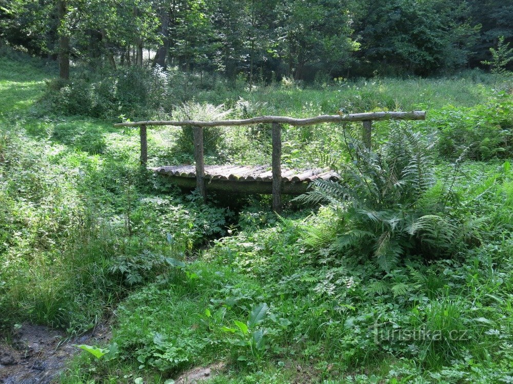 el puente bajo Svobodín