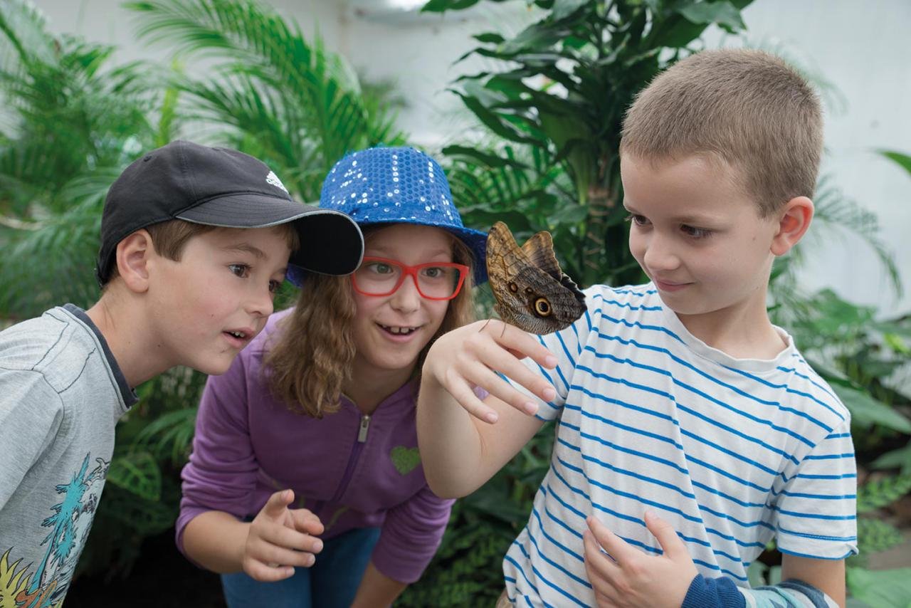 Butterfly House