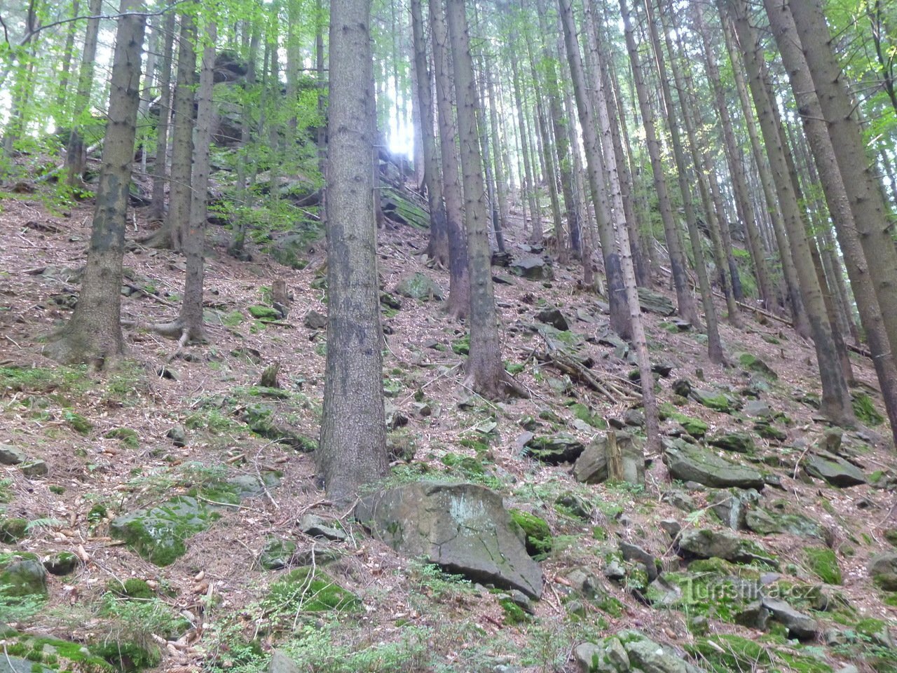 Vorsthutten op de top van Příslop.