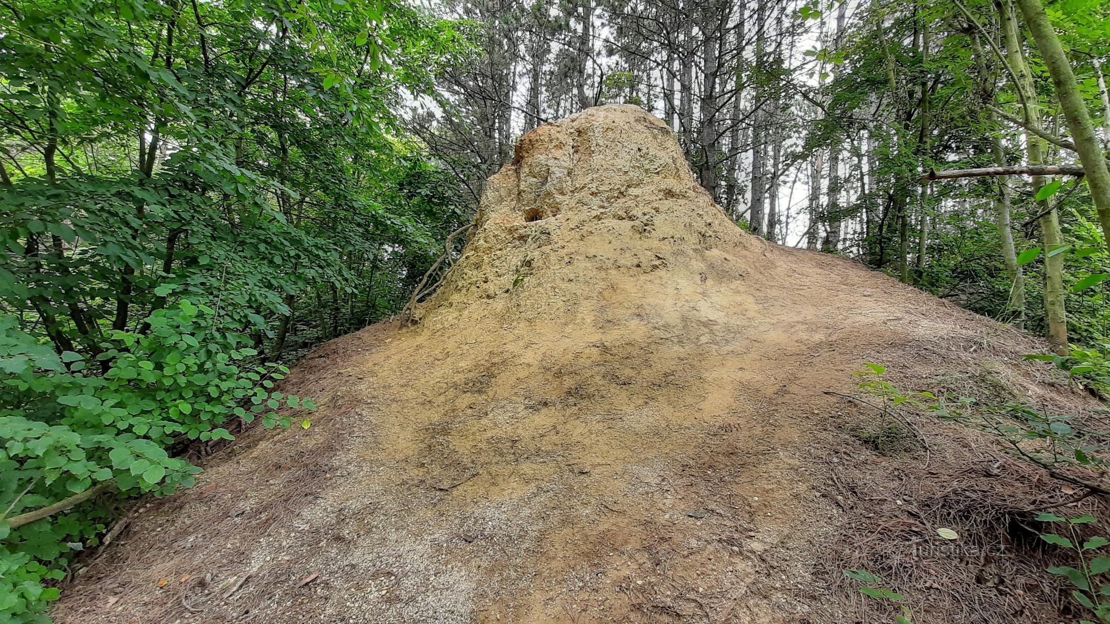 Frost wedge - un monument al naturii