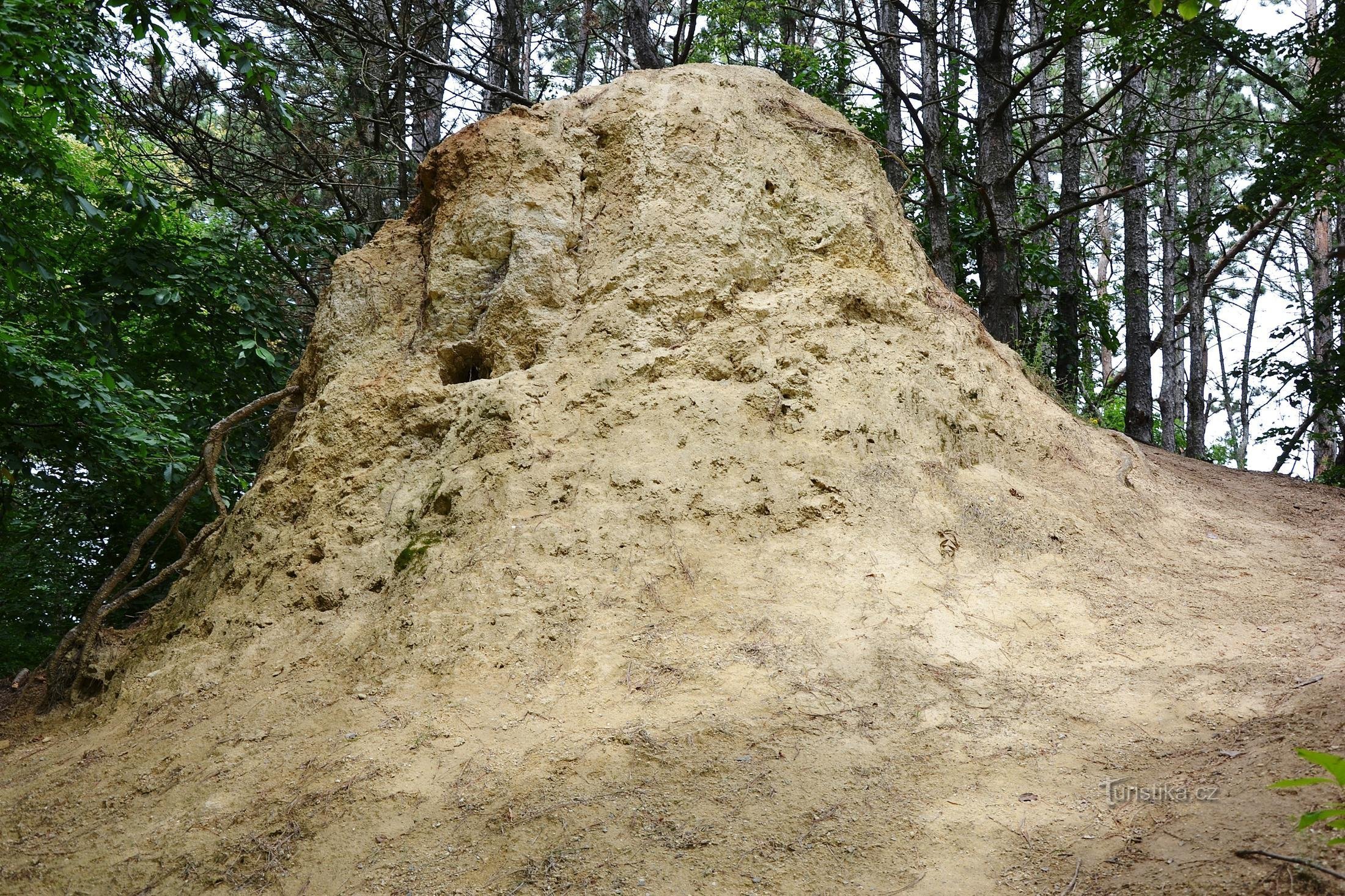 Frost wedge - un monument al naturii