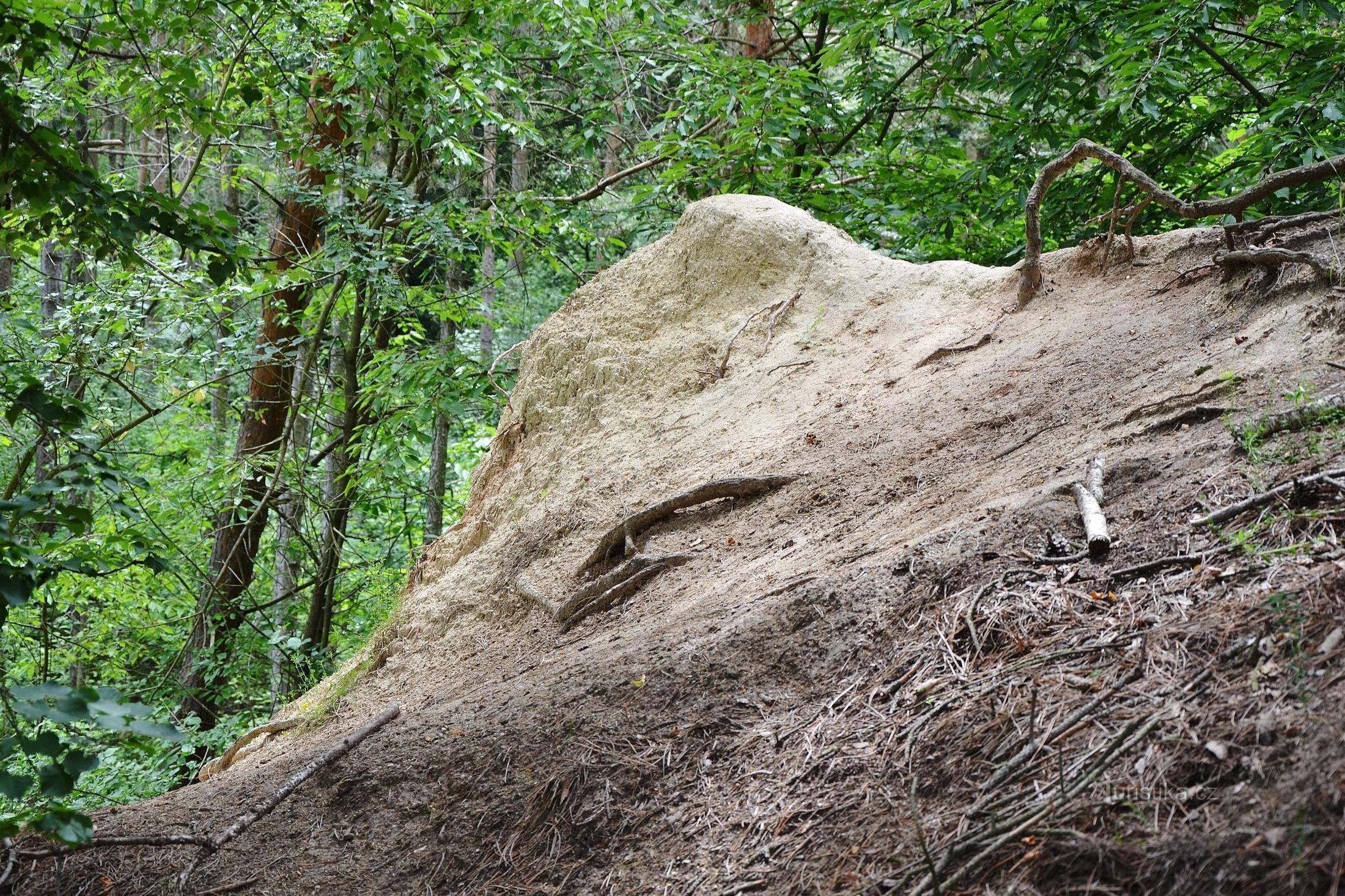 Frost wedge - un monument al naturii