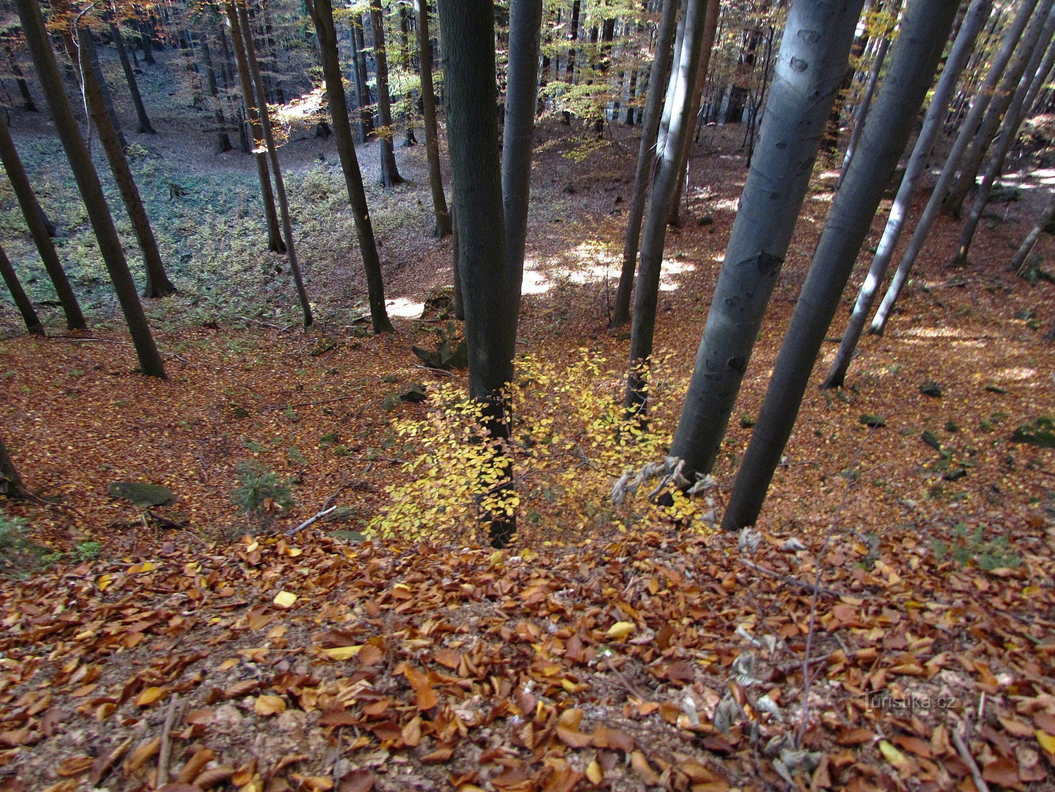 Cabina gelata sulla collina di Sýkornice