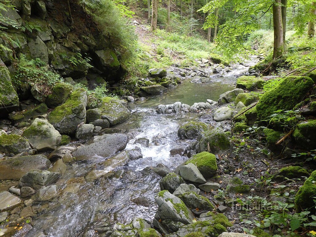 Mrazišče na vrhu grebena Žár.