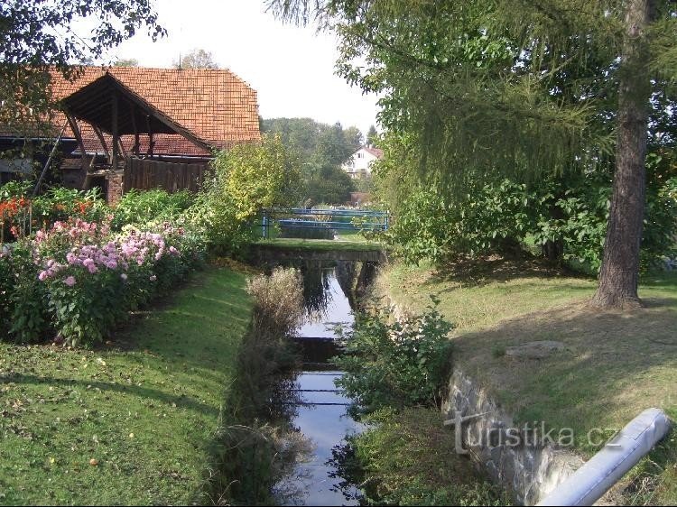 Mřenka en Palačov, vista río abajo