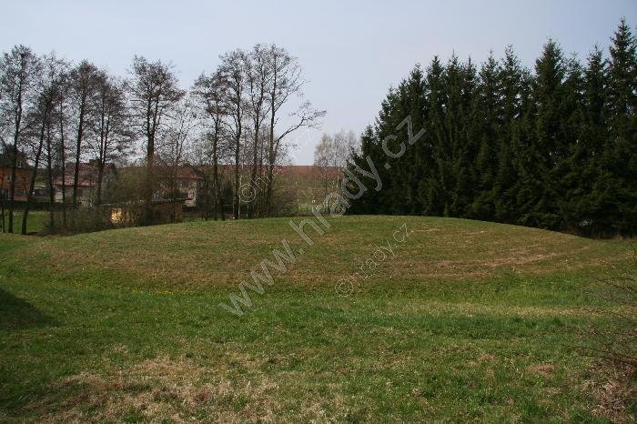 Mříčná – severní tvrziště