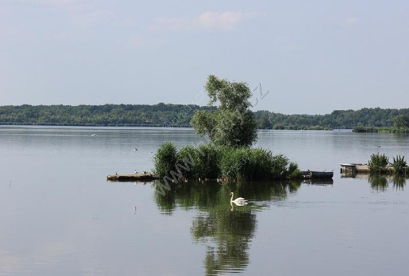 Mušov