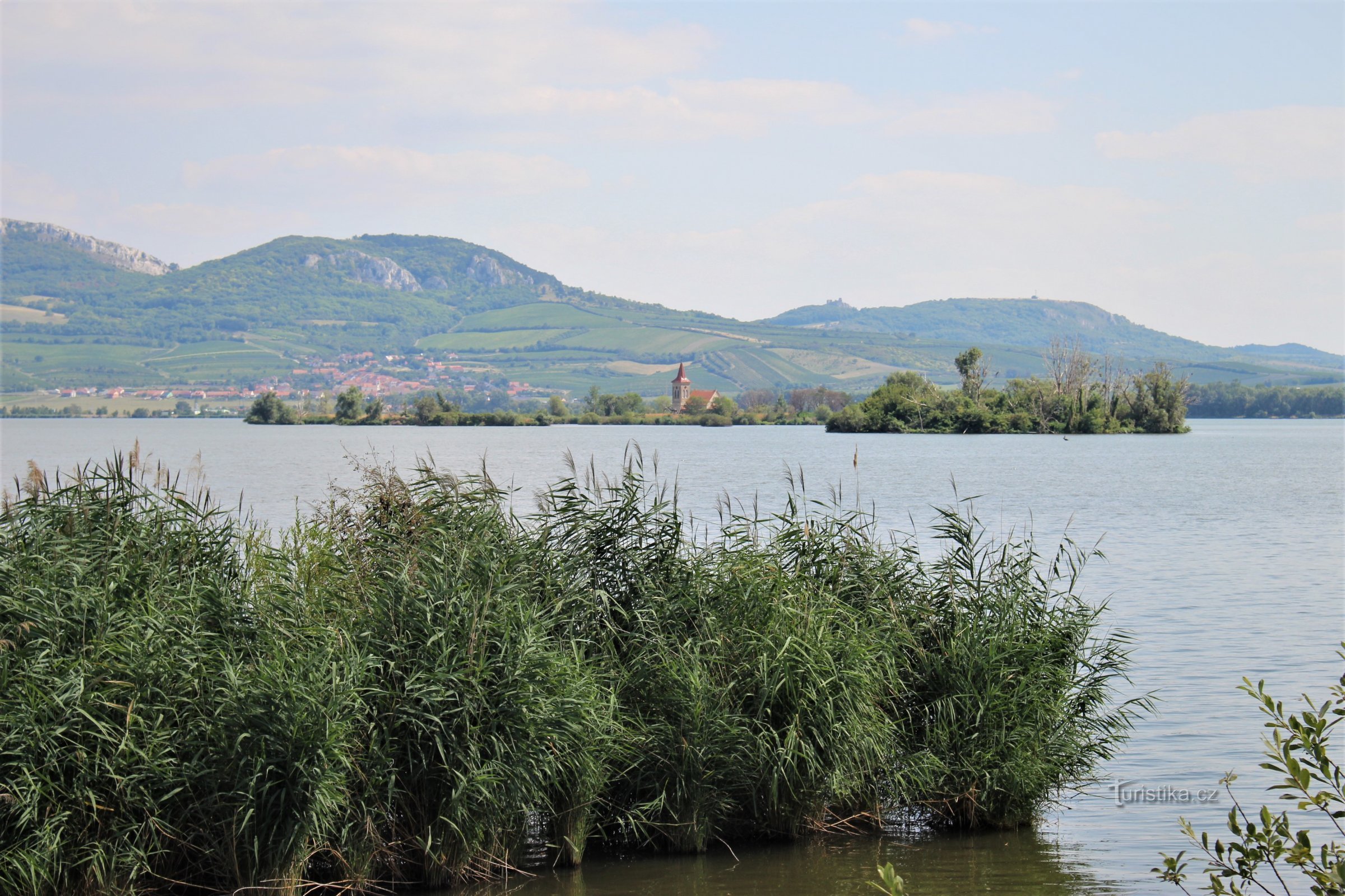 Mušov - ter ziele gegane dorp