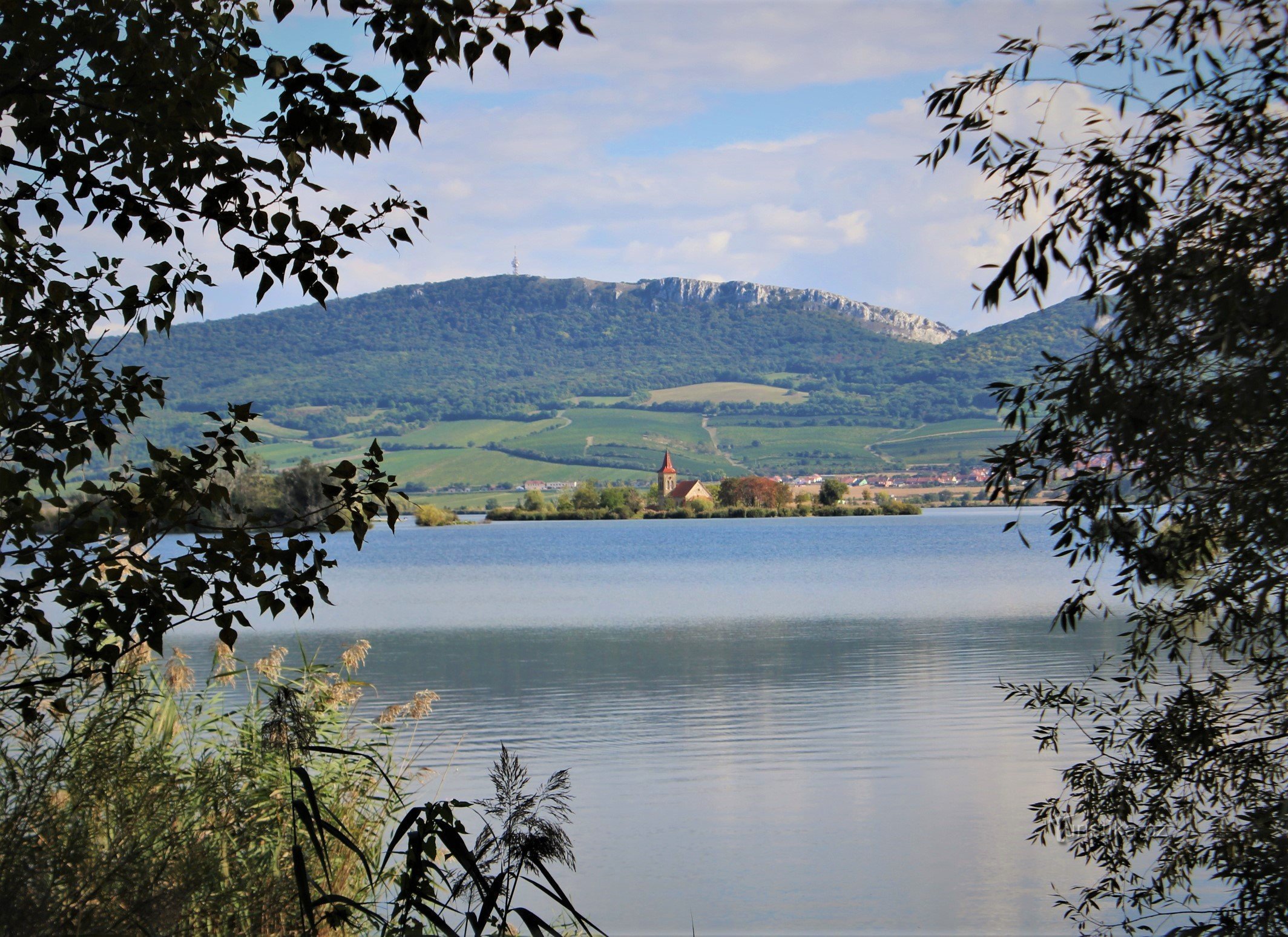 Mušov - ter ziele gegane dorp