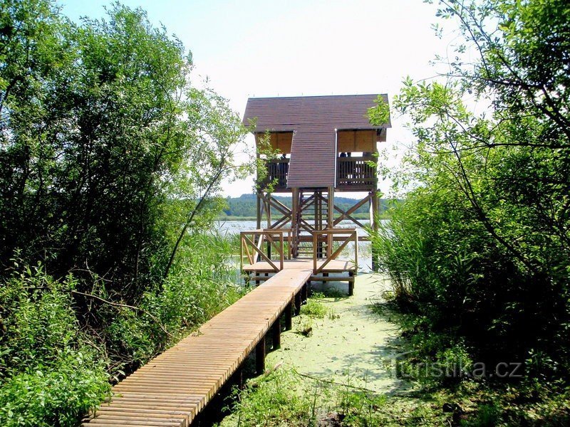 Brug naar het observatorium