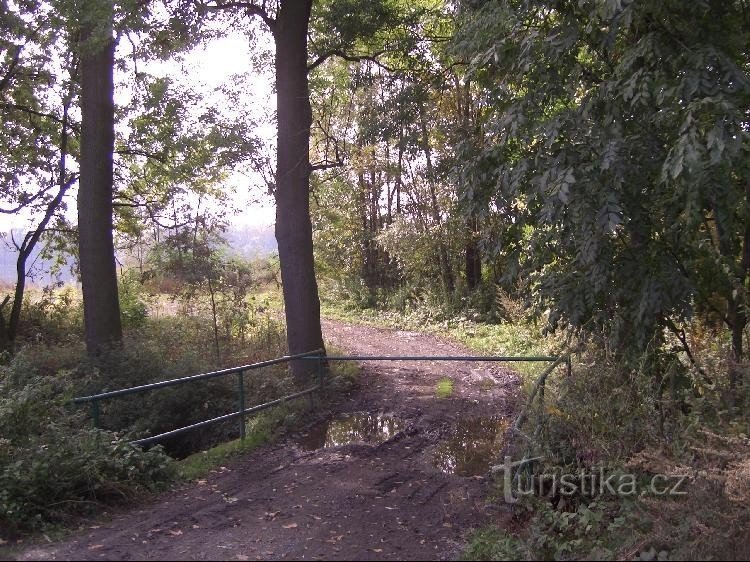 Brug over de stroom naar Horní rybník