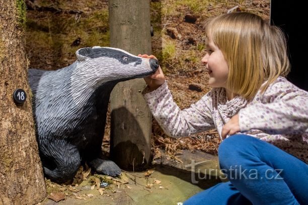 Múzeumok, amelyek szórakoztatják a gyerekeket