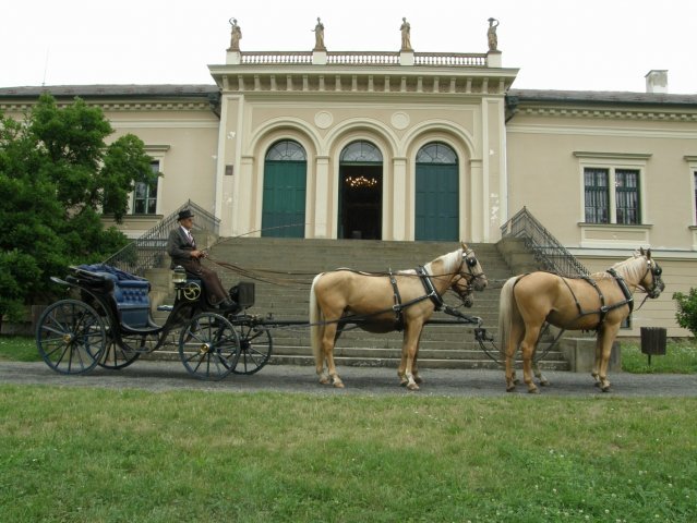Museum van historische rijtuigen van Bohemen onder Kosířem