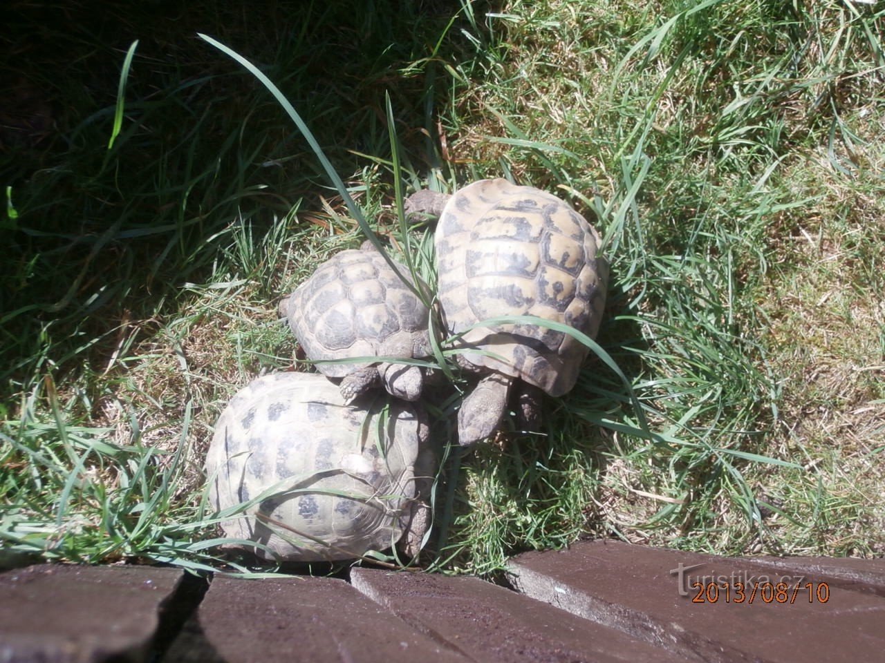 Natuurmuseum van het Tsjechische Paradijs