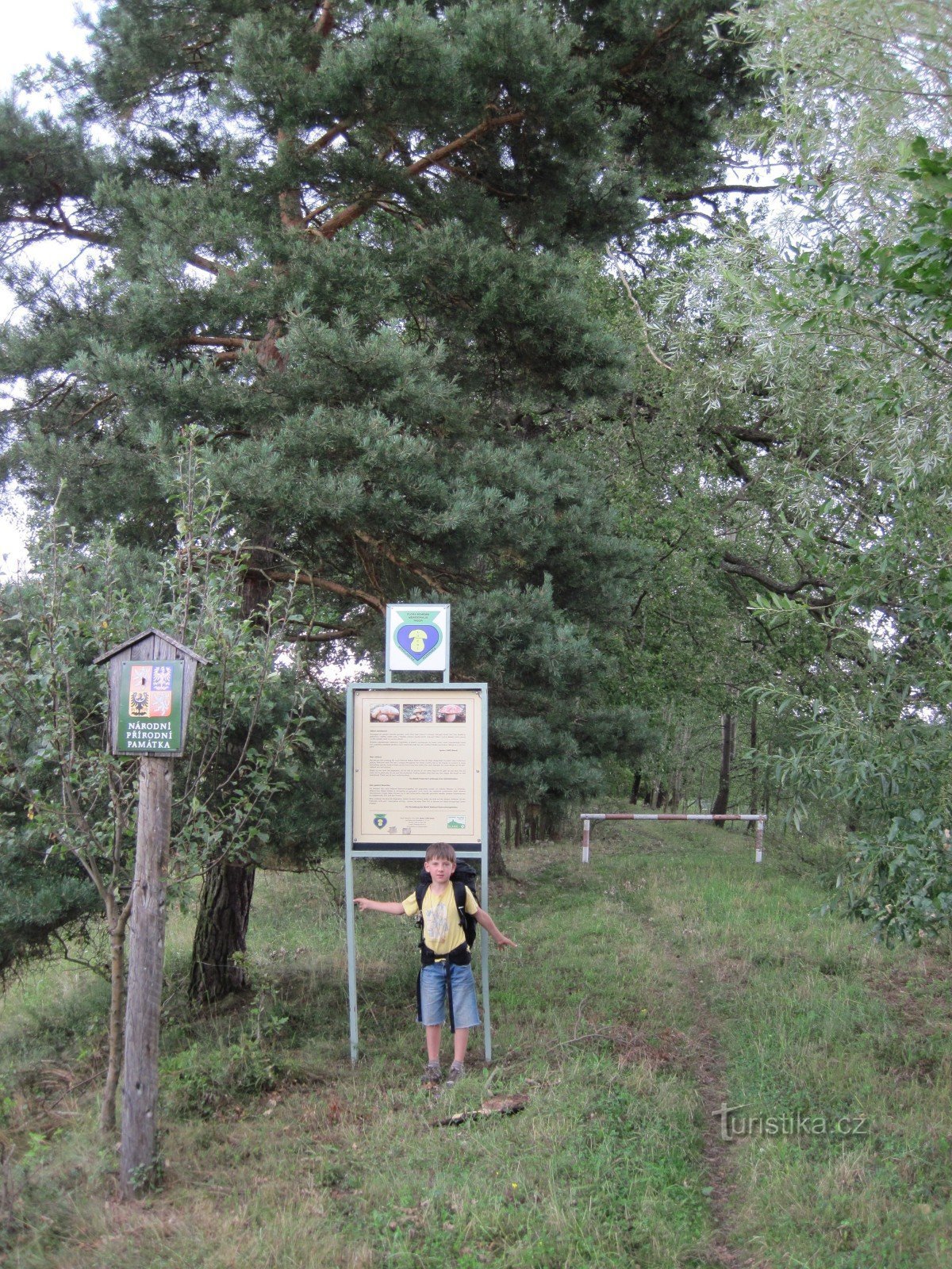 Mycological reserve Luční