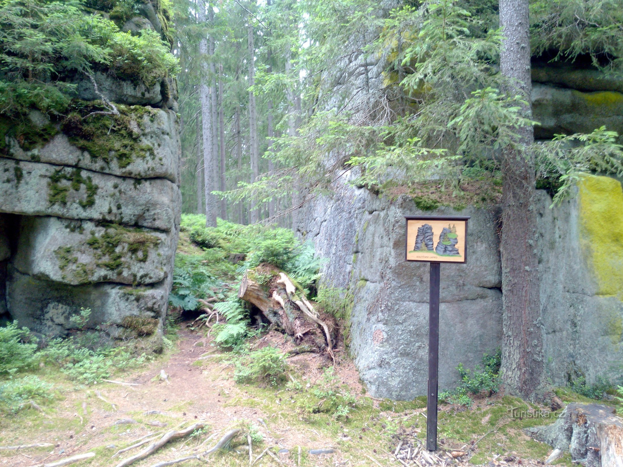 Ich denke, die Schlucht der Pfoten