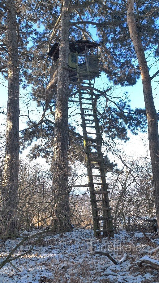 Jagdschloss auf dem Berg Žebráky in Richtung der Gemeinde Štrampouch