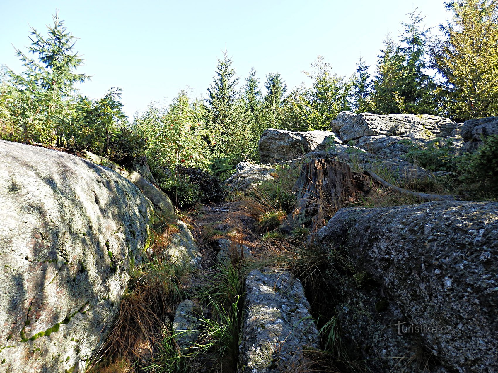 Myslivna is de op een na hoogste top van het Tsjechische deel van het Novohradské-gebergte (1.040 m)