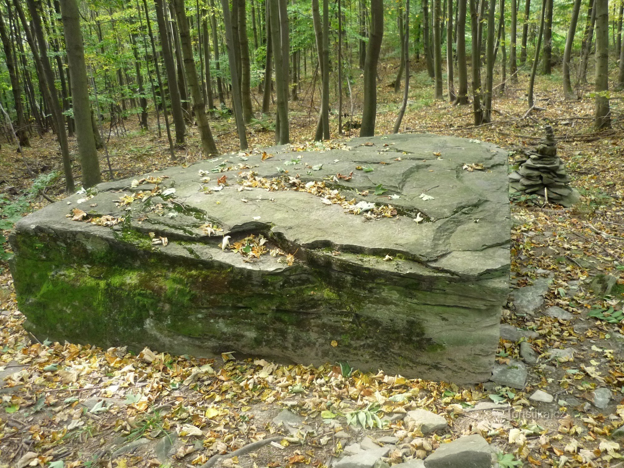Misticismo en el bosque - Altar de piedra