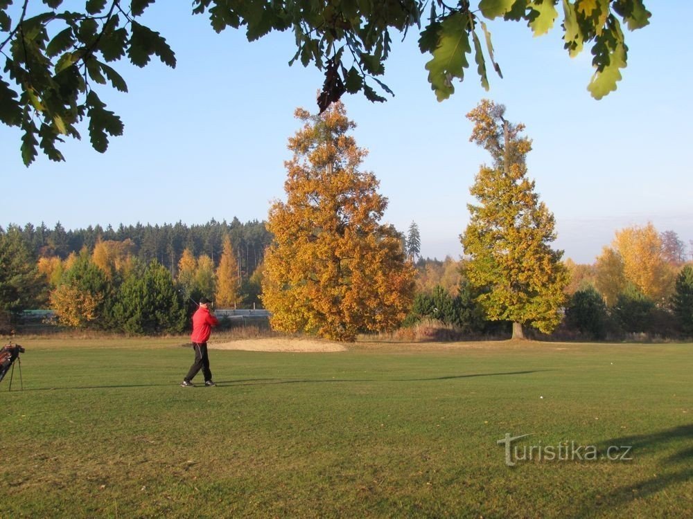 on the 6th hole