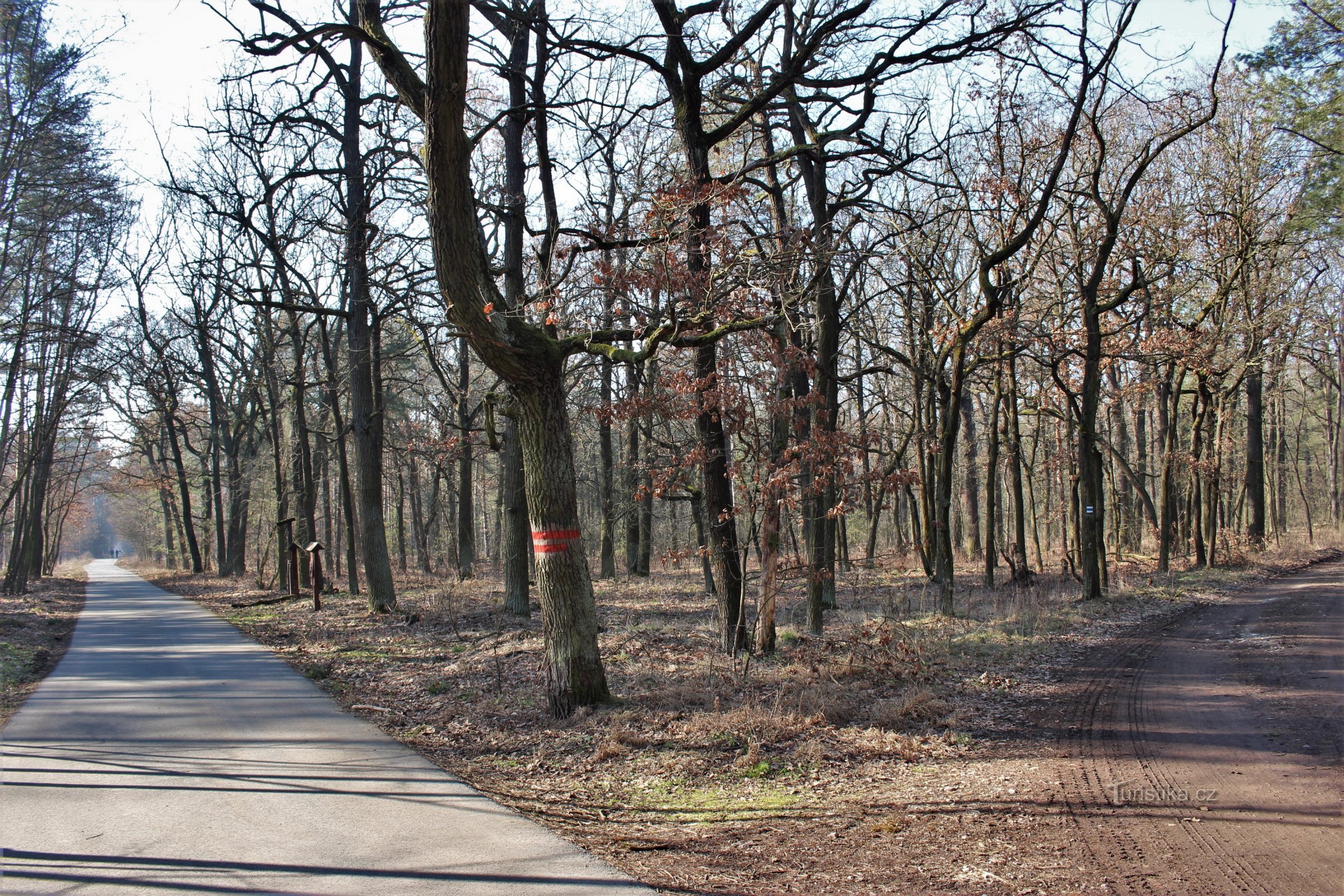 Op Baadler's Alley in Hodonínská dúbrana