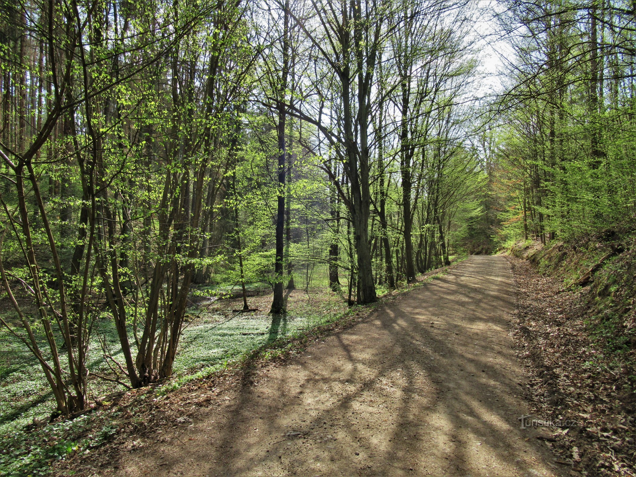 Auf dem Babídolská-Weg