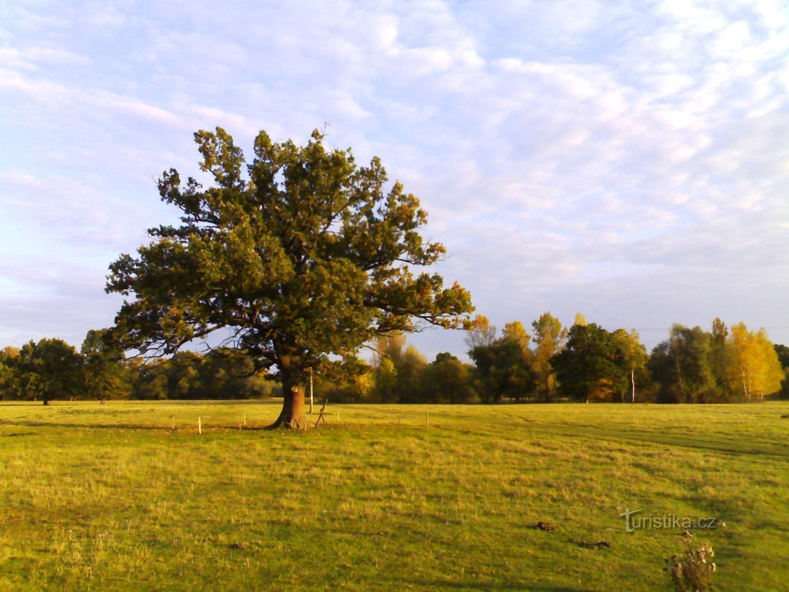 Auf dem Schlamm - Orlice in der Nähe von Blesno-Feuchtgebieten