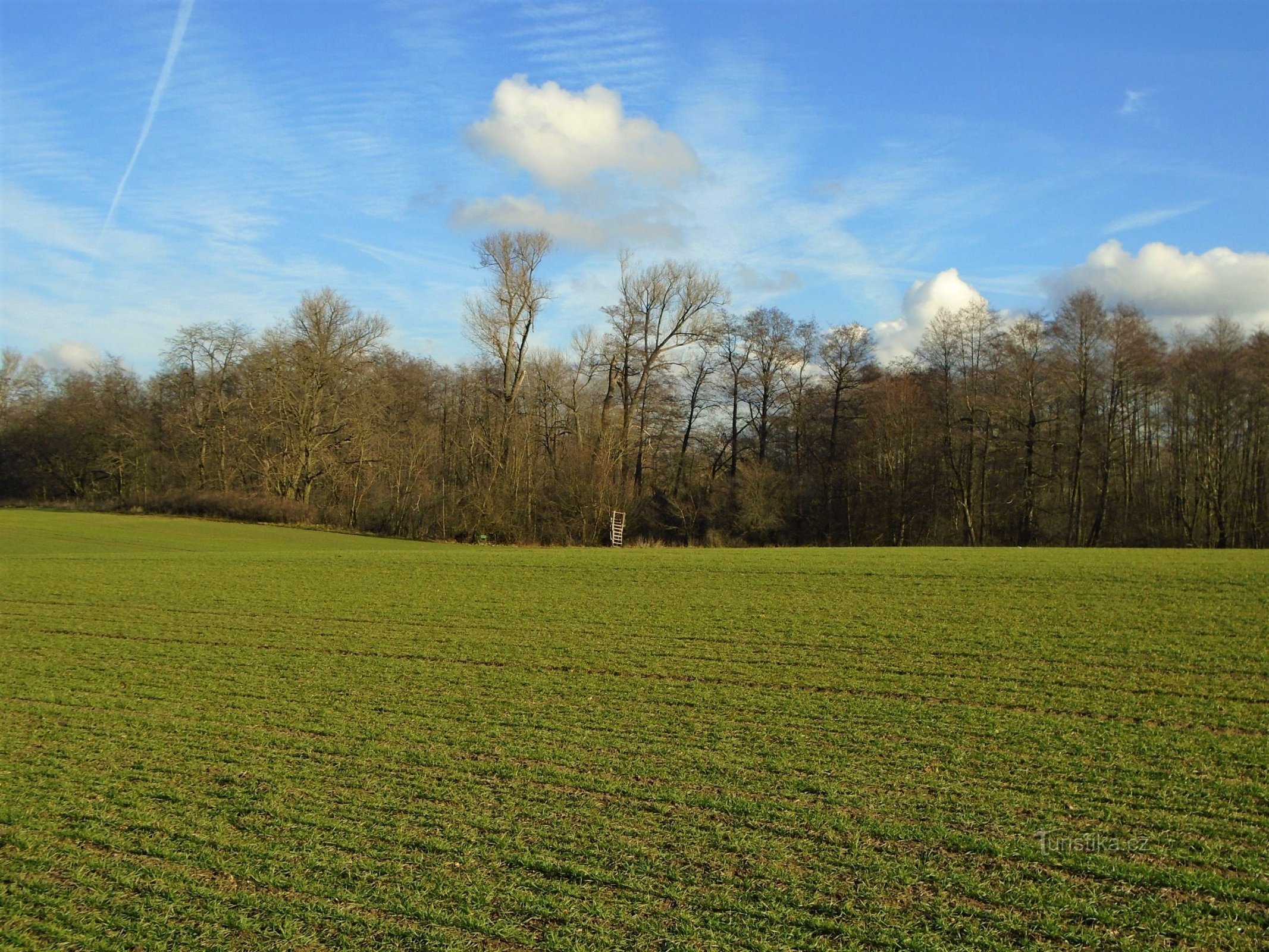 Na Bahnech (Libišany, 6.1.2018)