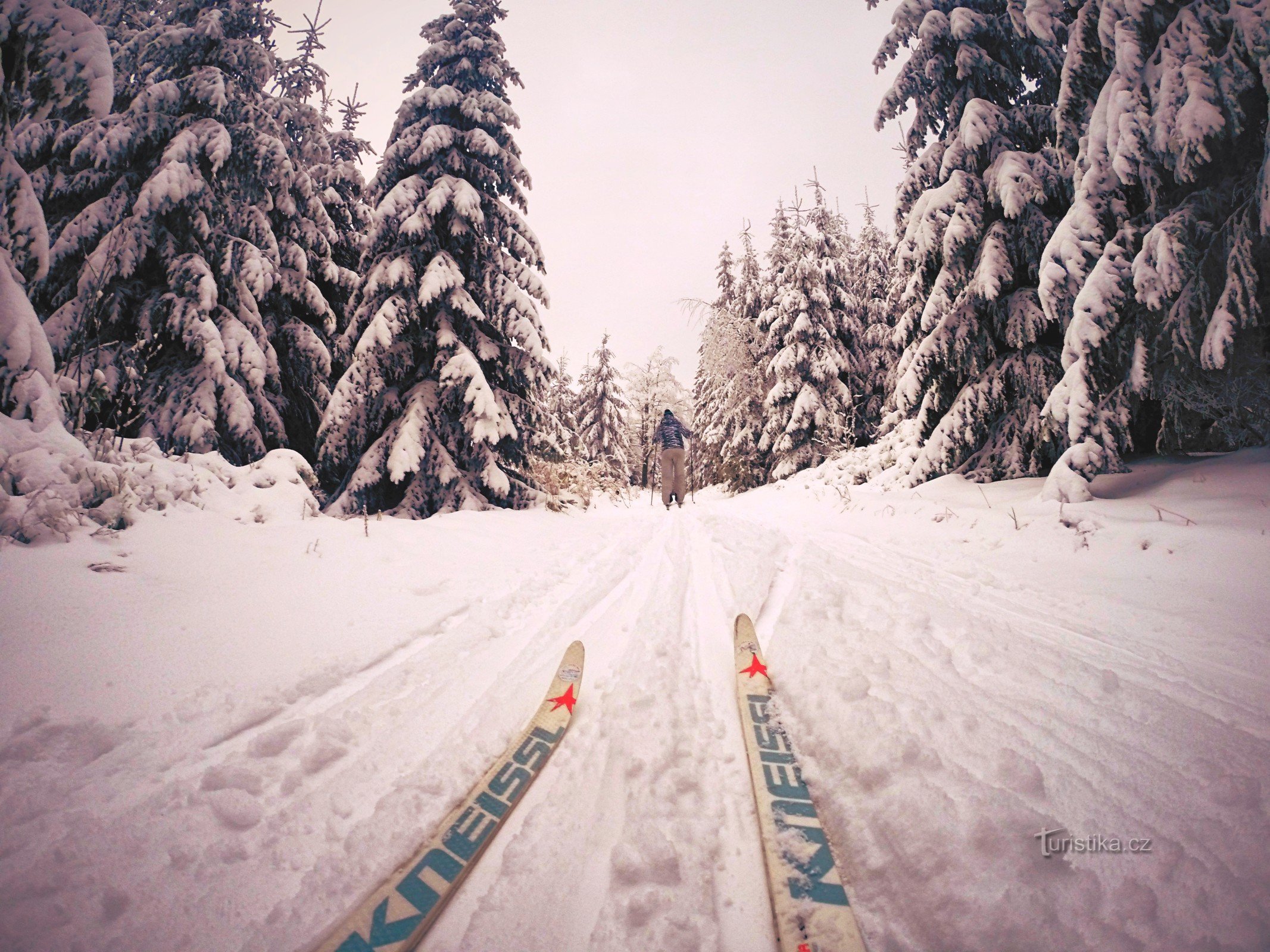 Na skijama za trčanje