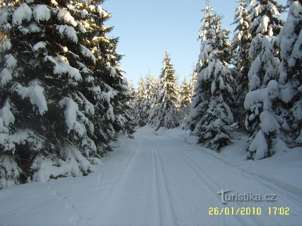 esquí de fondo: refugio Hvězda - cruz de Hutter - Bosna - U Tetřeví bouda - mirador