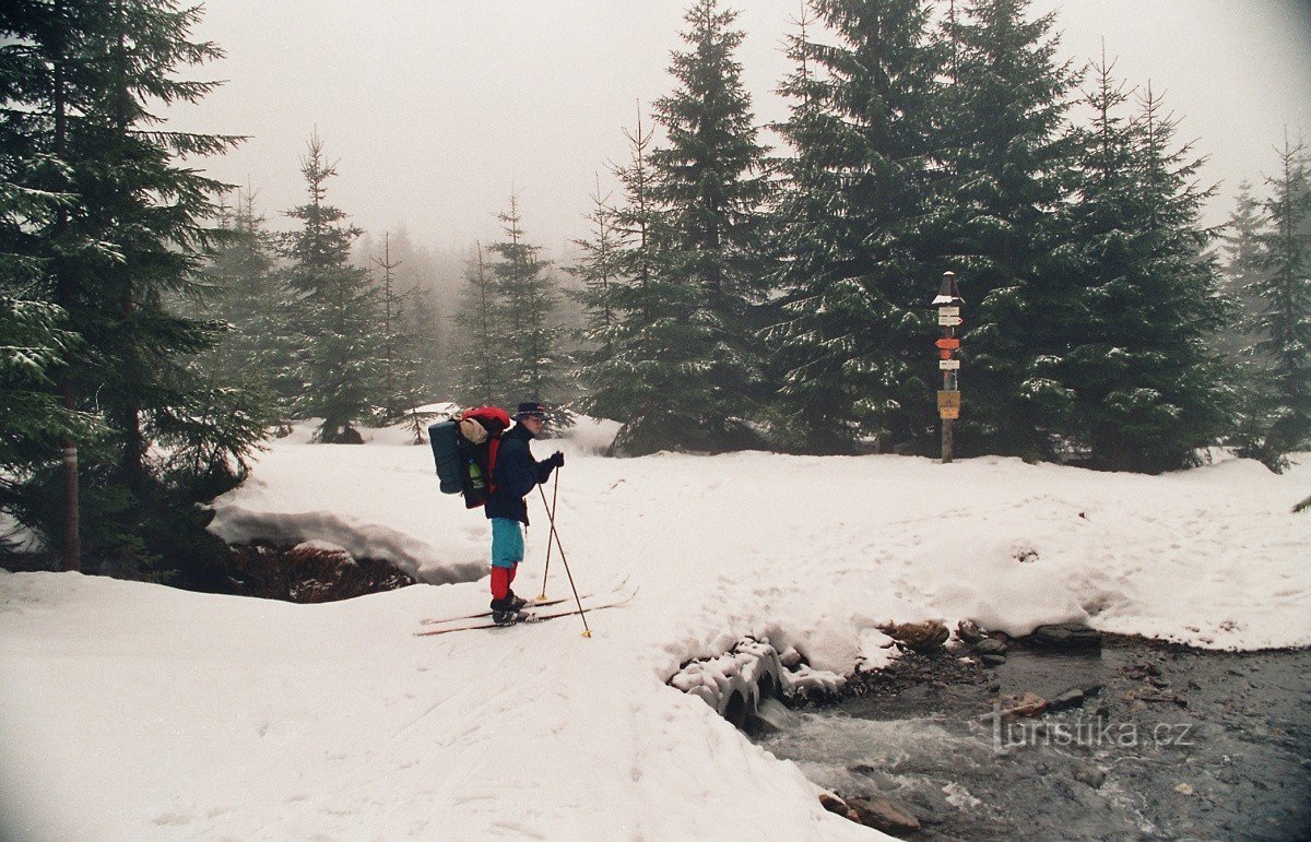 No esqui cross-country na beleza das montanhas Jeseníky no inverno