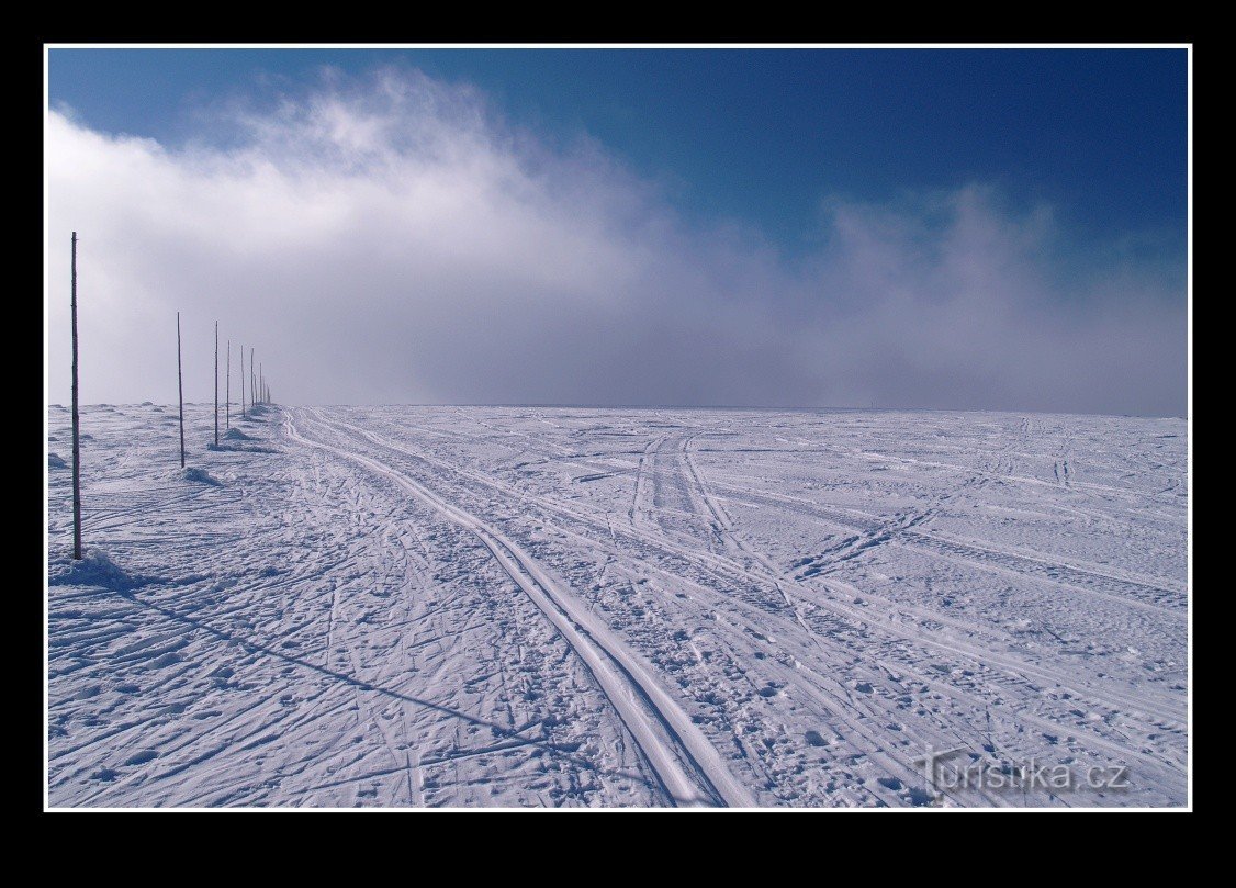 美しい冬のイェセニーキ山脈でのクロスカントリー スキーについて