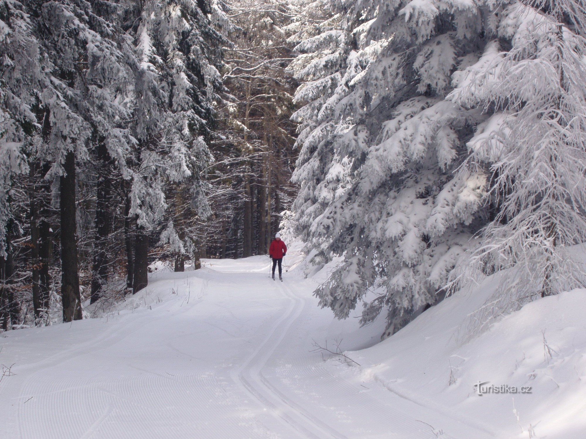 En ski de fond vers le DOMAINE SKIABLE DE PŘÉMYSLOV